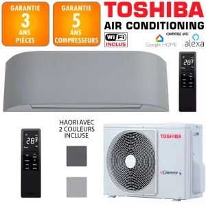 Climatiseur Mural TOSHIBA HAORI 10 + RAS-10PAVSG-E